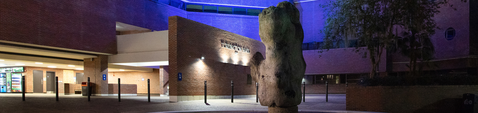 Turlington Hall at night